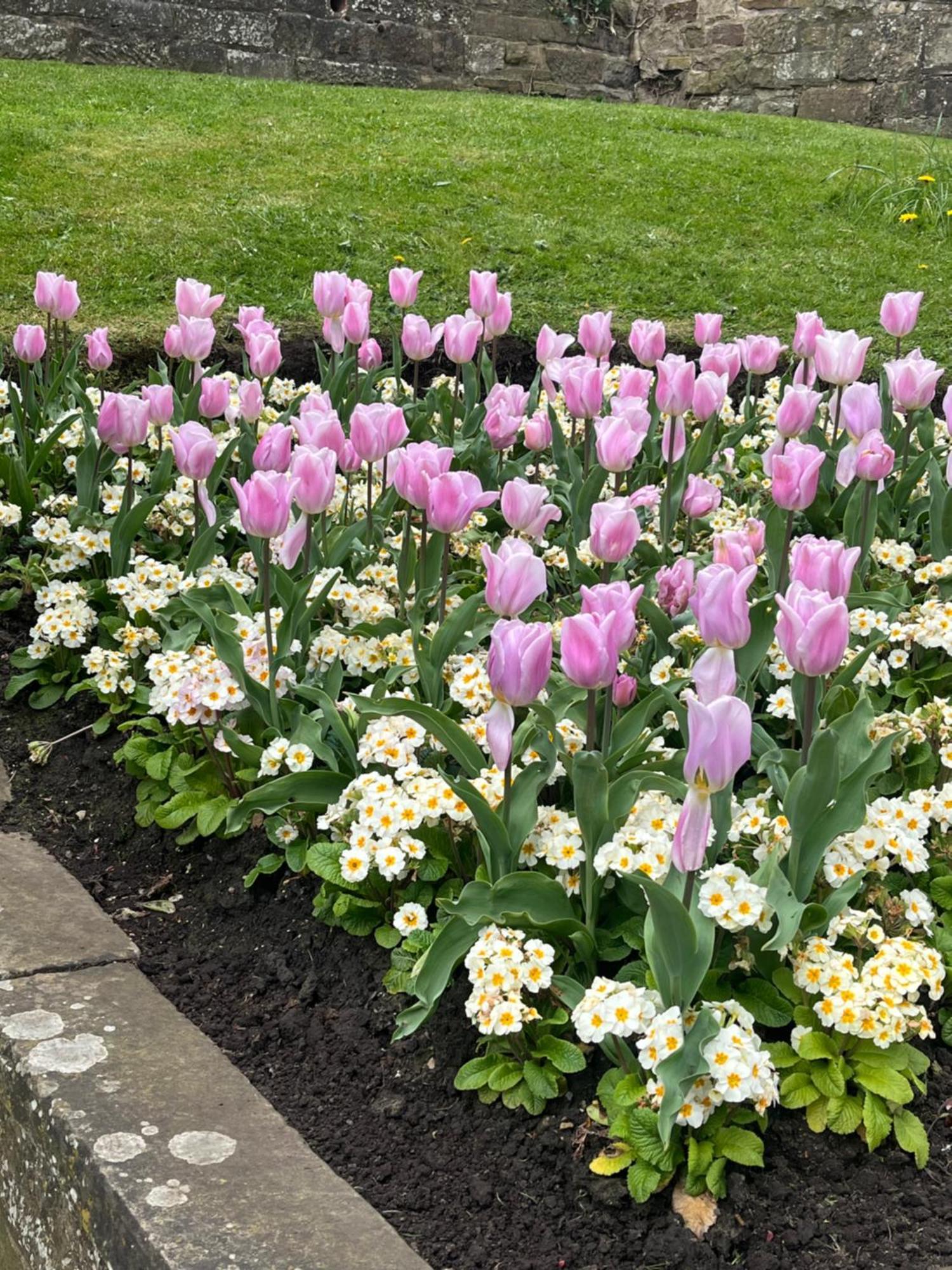 Willa Parkside Pateley Bridge Zewnętrze zdjęcie